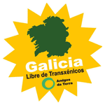 Galicia cultiva transxénicos perigosos para a saúde
